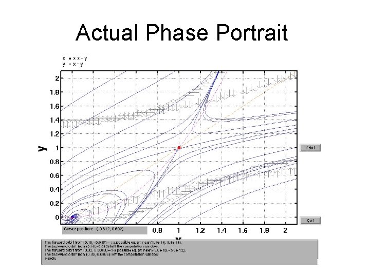 Actual Phase Portrait 