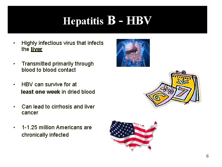 Hepatitis • Highly infectious virus that infects the liver • Transmitted primarily through blood
