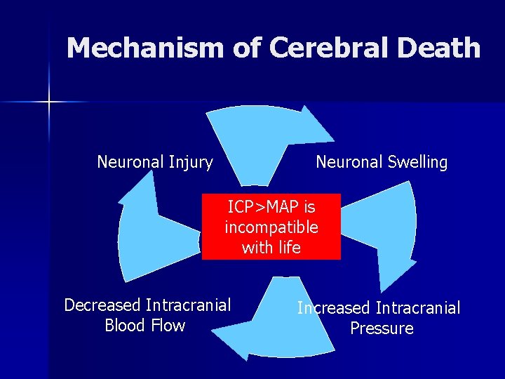 Mechanism of Cerebral Death Neuronal Swelling Neuronal Injury ICP>MAP is incompatible with life Decreased