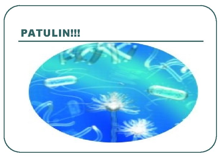 PATULIN!!! PATULIN!!!
