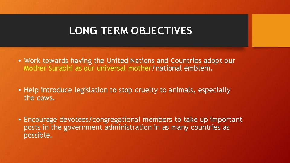 LONG TERM OBJECTIVES • Work towards having the United Nations and Countries adopt our