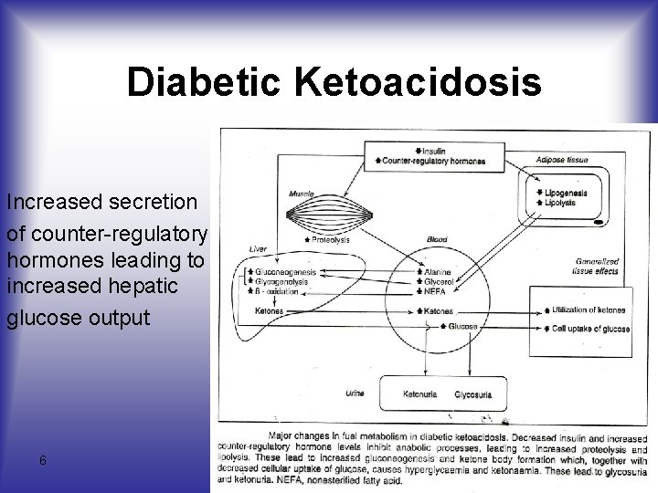 Diabetic Ketoacidosis Increased secretion of counter-regulatory hormones leading to increased hepatic glucose output 6