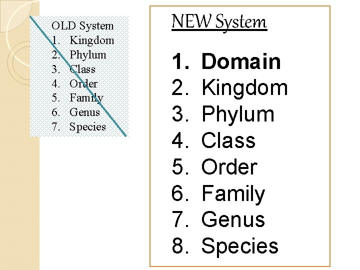 OLD System 1. Kingdom 2. Phylum 3. Class 4. Order 5. Family 6. Genus