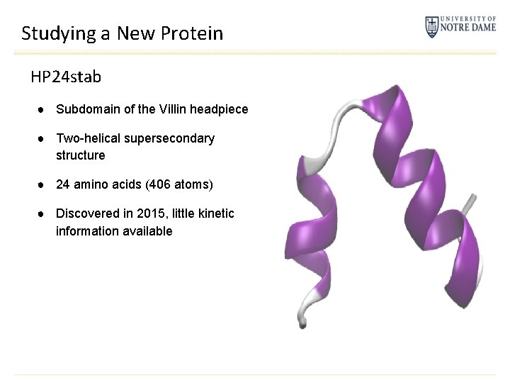 Studying a New Protein HP 24 stab ● Subdomain of the Villin headpiece ●