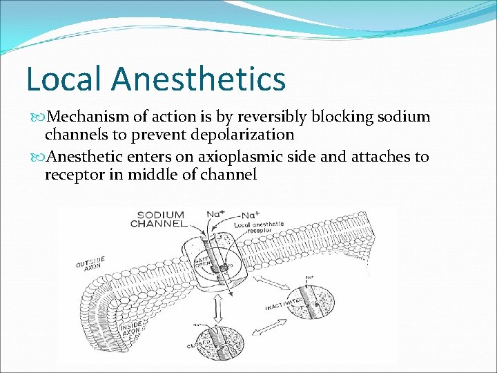 LOCAL ANESTHETICS Dr Rupak Bhattarai A local anesthetic