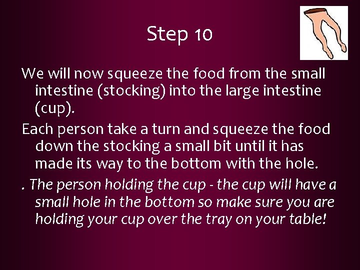 Step 10 We will now squeeze the food from the small intestine (stocking) into