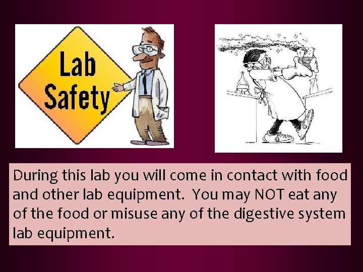 During this lab you will come in contact with food and other lab equipment.