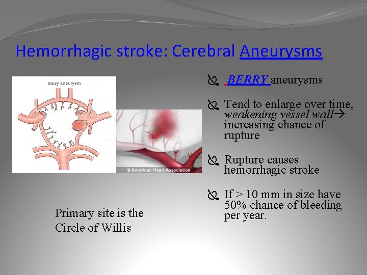 Hemorrhagic stroke: Cerebral Aneurysms Ï BERRY aneurysms Ï Tend to enlarge over time, weakening