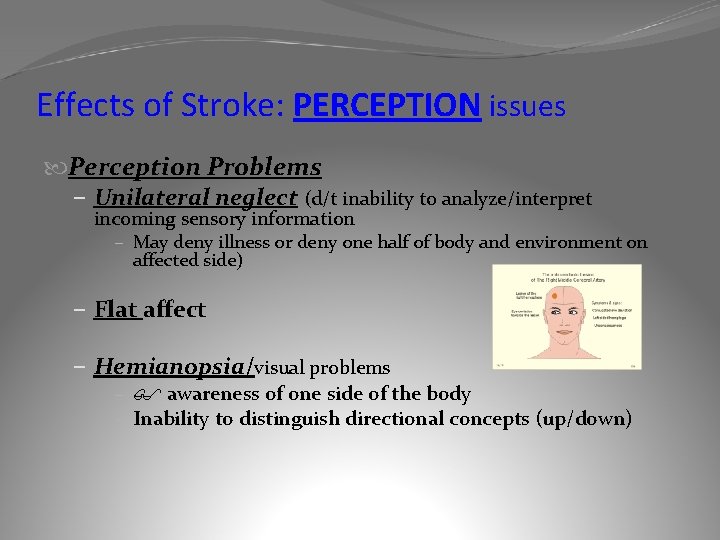 Effects of Stroke: PERCEPTION issues Perception Problems – Unilateral neglect (d/t inability to analyze/interpret