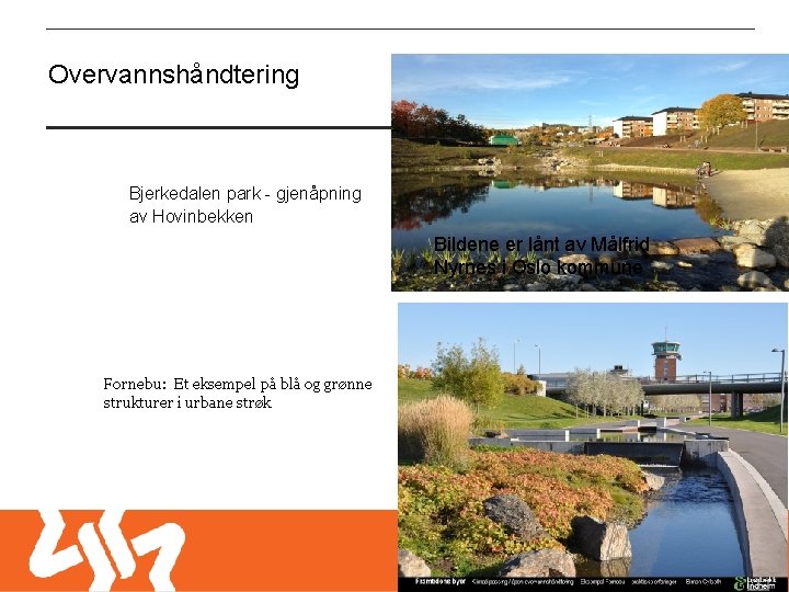 Overvannshåndtering Bjerkedalen park - gjenåpning av Hovinbekken Bildene er lånt av Målfrid Nyrnes i