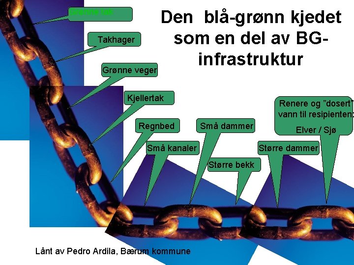 Grønne tak Den blå-grønn kjedet Takhager som en del av BGinfrastruktur Grønne veger Kjellertak