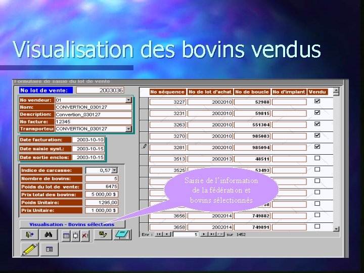 Visualisation des bovins vendus Saisie de l’information de la fédération et bovins sélectionnés 