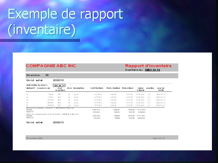 Exemple de rapport (inventaire) 