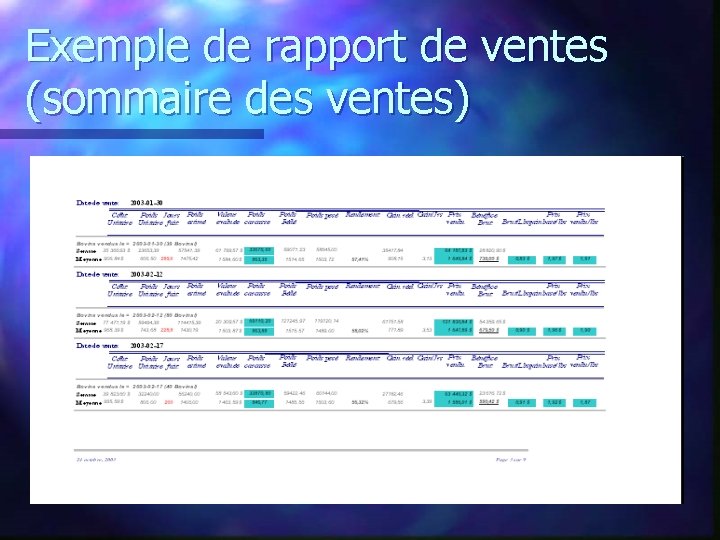 Exemple de rapport de ventes (sommaire des ventes) 