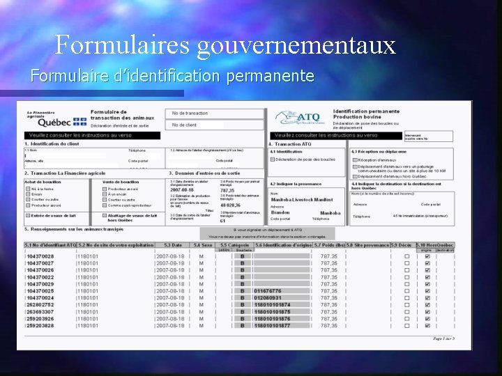 Formulaires gouvernementaux Formulaire d’identification permanente 