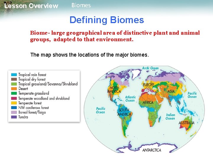 Lesson Overview Biomes Defining Biomes Biome- large geographical area of distinctive plant and animal