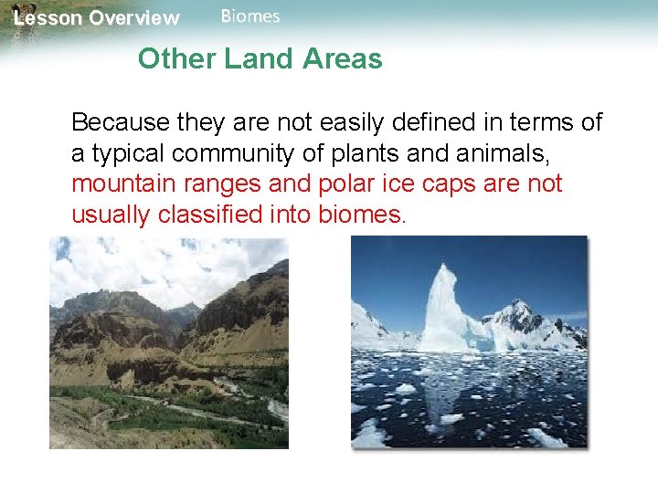 Lesson Overview Biomes Other Land Areas Because they are not easily defined in terms