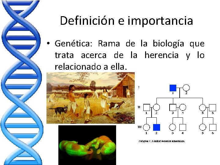 Definición e importancia • Genética: Rama de la biología que trata acerca de la Definición e importancia • Genética: Rama de la biología que trata acerca de la