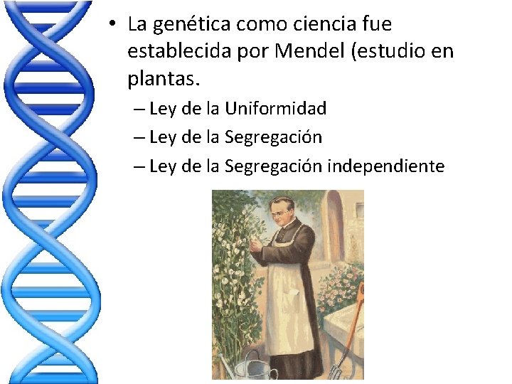 • La genética como ciencia fue establecida por Mendel (estudio en plantas. – • La genética como ciencia fue establecida por Mendel (estudio en plantas. –