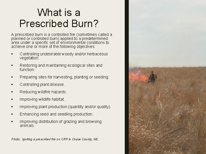 What is a Prescribed Burn? A prescribed burn is a controlled fire (sometimes called