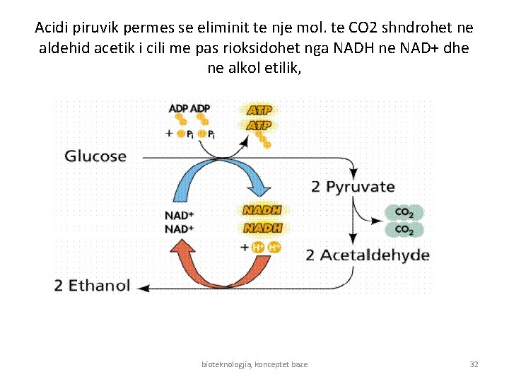 Acidi piruvik permes se eliminit te nje mol. te CO 2 shndrohet ne aldehid