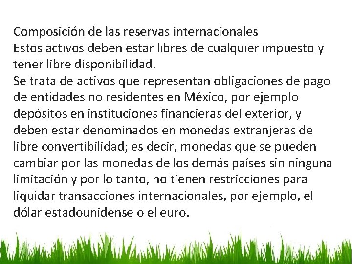 Composición de las reservas internacionales Estos activos deben estar libres de cualquier impuesto y