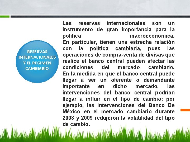 RESERVAS INTERNACIONALES Y EL REGIMEN CAMBIARIO Las reservas internacionales son un instrumento de gran