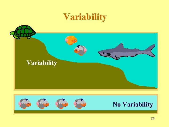 Variability No Variability SP 