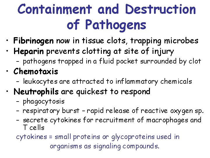 Containment and Destruction of Pathogens • Fibrinogen now in tissue clots, trapping microbes •