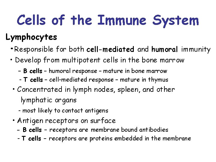 Cells of the Immune System Lymphocytes • Responsible for both cell-mediated and humoral immunity