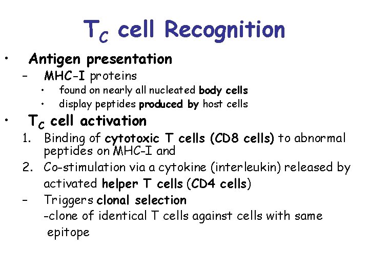 TC cell Recognition • • – Antigen presentation MHC-I proteins • • found on