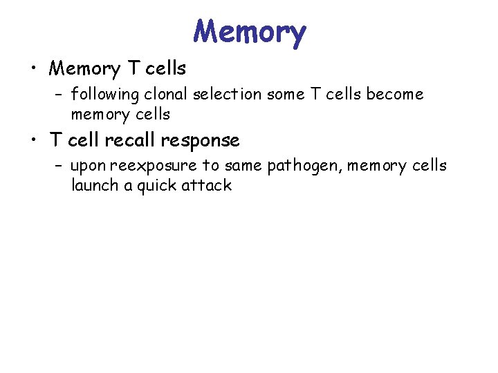 Memory • Memory T cells – following clonal selection some T cells become memory
