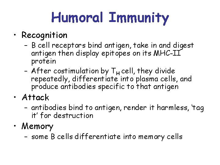 Humoral Immunity • Recognition – B cell receptors bind antigen, take in and digest