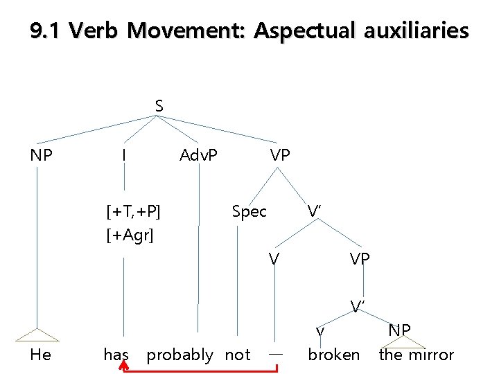 9. 1 Verb Movement: Aspectual auxiliaries S NP I Adv. P [+T, +P] [+Agr]