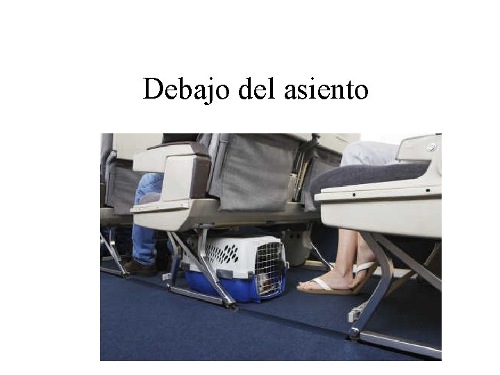 Debajo del asiento 