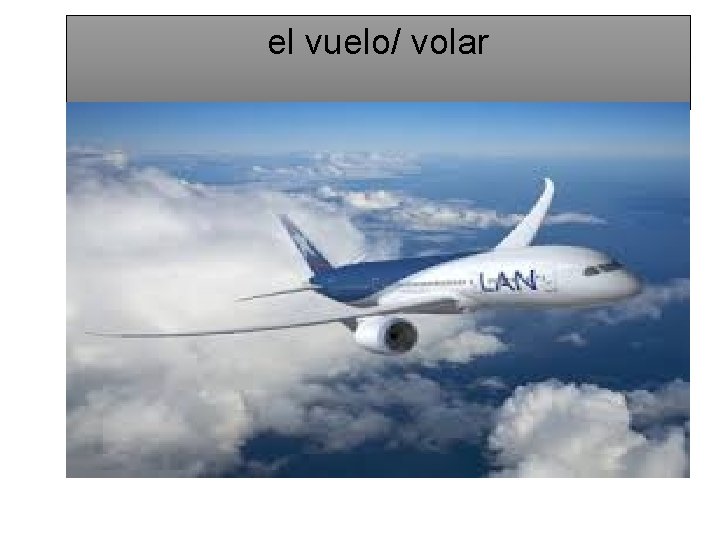 el vuelo/ volar 