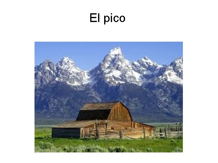 El pico 