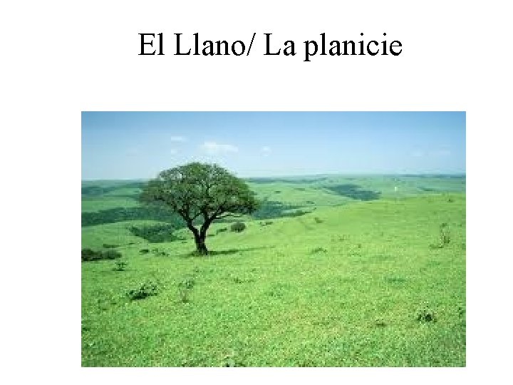 El Llano/ La planicie 