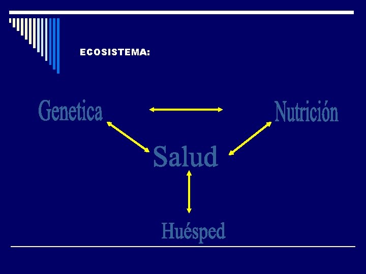 ECOSISTEMA: 