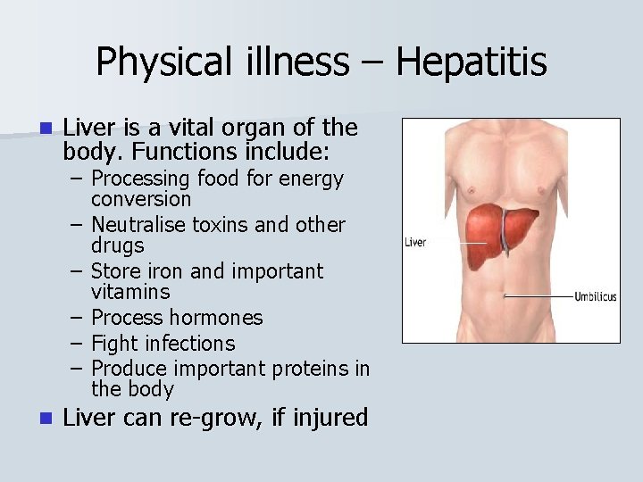 Physical illness – Hepatitis n Liver is a vital organ of the body. Functions