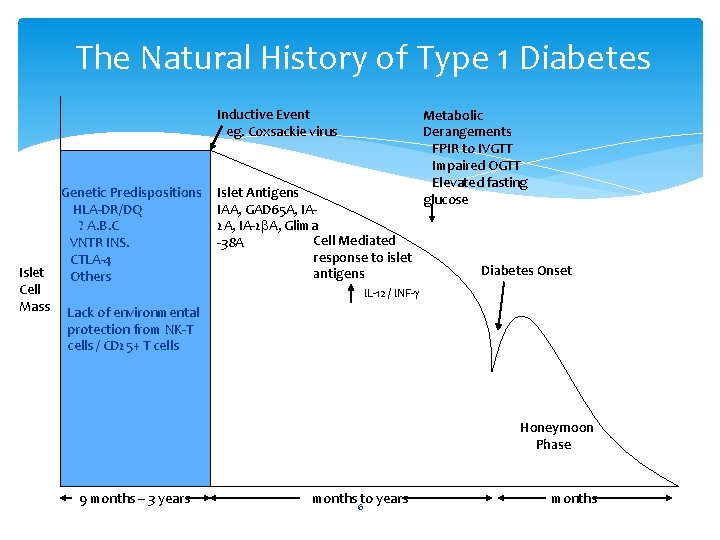 The Natural History of Type 1 Diabetes Inductive Event eg. Coxsackie virus Genetic Predispositions