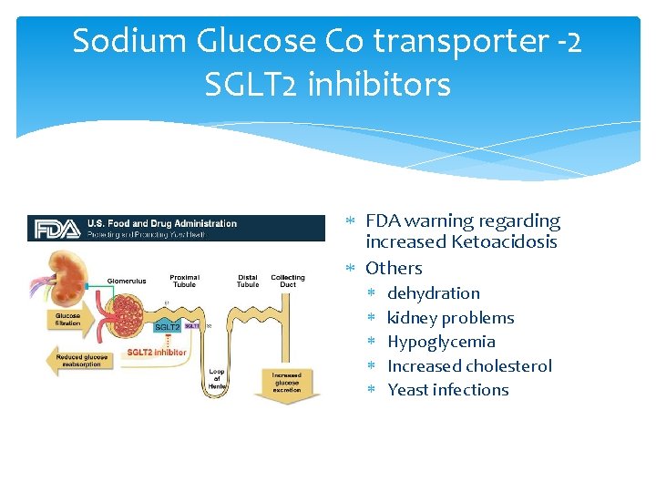 Sodium Glucose Co transporter -2 SGLT 2 inhibitors FDA warning regarding increased Ketoacidosis Others