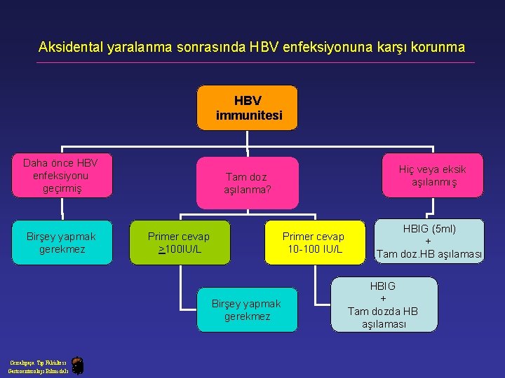 Aksidental yaralanma sonrasında HBV enfeksiyonuna karşı korunma HBV immunitesi Daha önce HBV enfeksiyonu geçirmiş