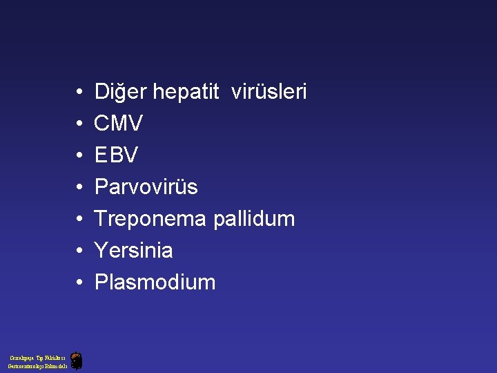  • • Cerrahpaşa Tıp Fakültesi Gastroenteroloji Bilim dalı Diğer hepatit virüsleri CMV EBV