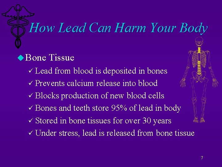 How Lead Can Harm Your Body u Bone Tissue ü Lead from blood is