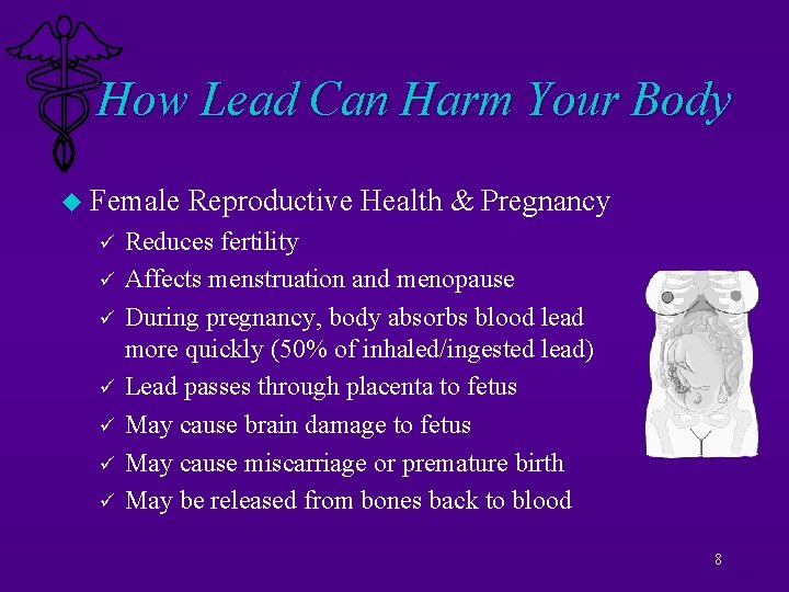 How Lead Can Harm Your Body u Female ü ü ü ü Reproductive Health