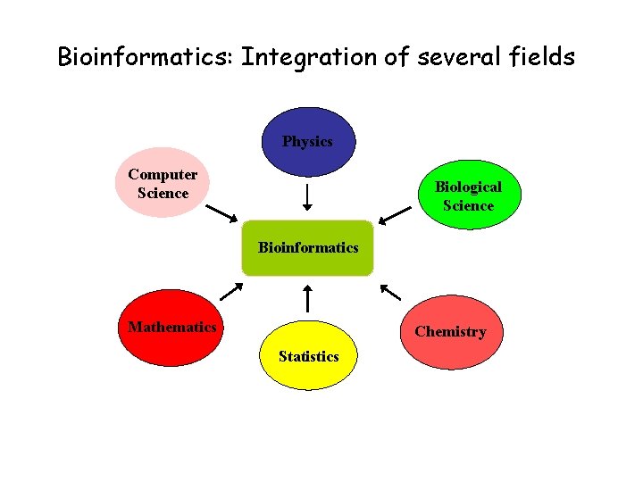 Bioinformatics: Integration of several fields Physics Computer Science Biological Science Bioinformatics Mathematics Chemistry Statistics