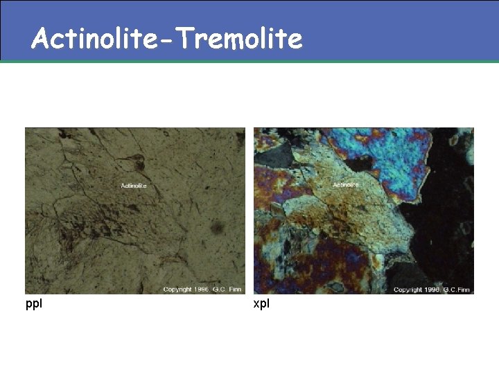 Actinolite-Tremolite ppl xpl 