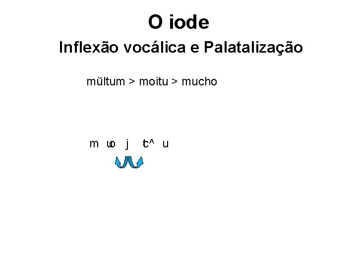 O iode Inflexão vocálica e Palatalização mŭltum > moitu > mucho m uo j O iode Inflexão vocálica e Palatalização mŭltum > moitu > mucho m uo j
