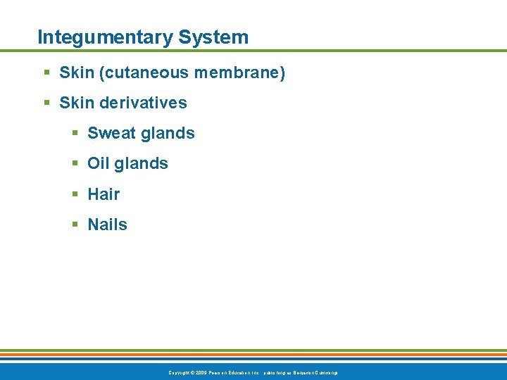 Integumentary System § Skin (cutaneous membrane) § Skin derivatives § Sweat glands § Oil
